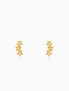 Golden Multi Twinkle Earrings