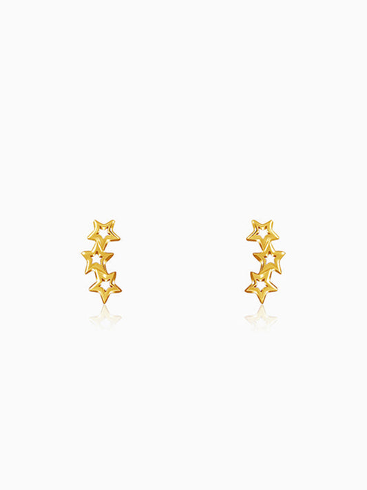 Golden Multi Twinkle Earrings