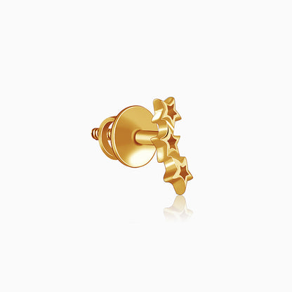 Golden Multi Twinkle Earrings