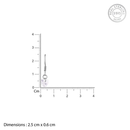 Silver Beyond Heart Earrings