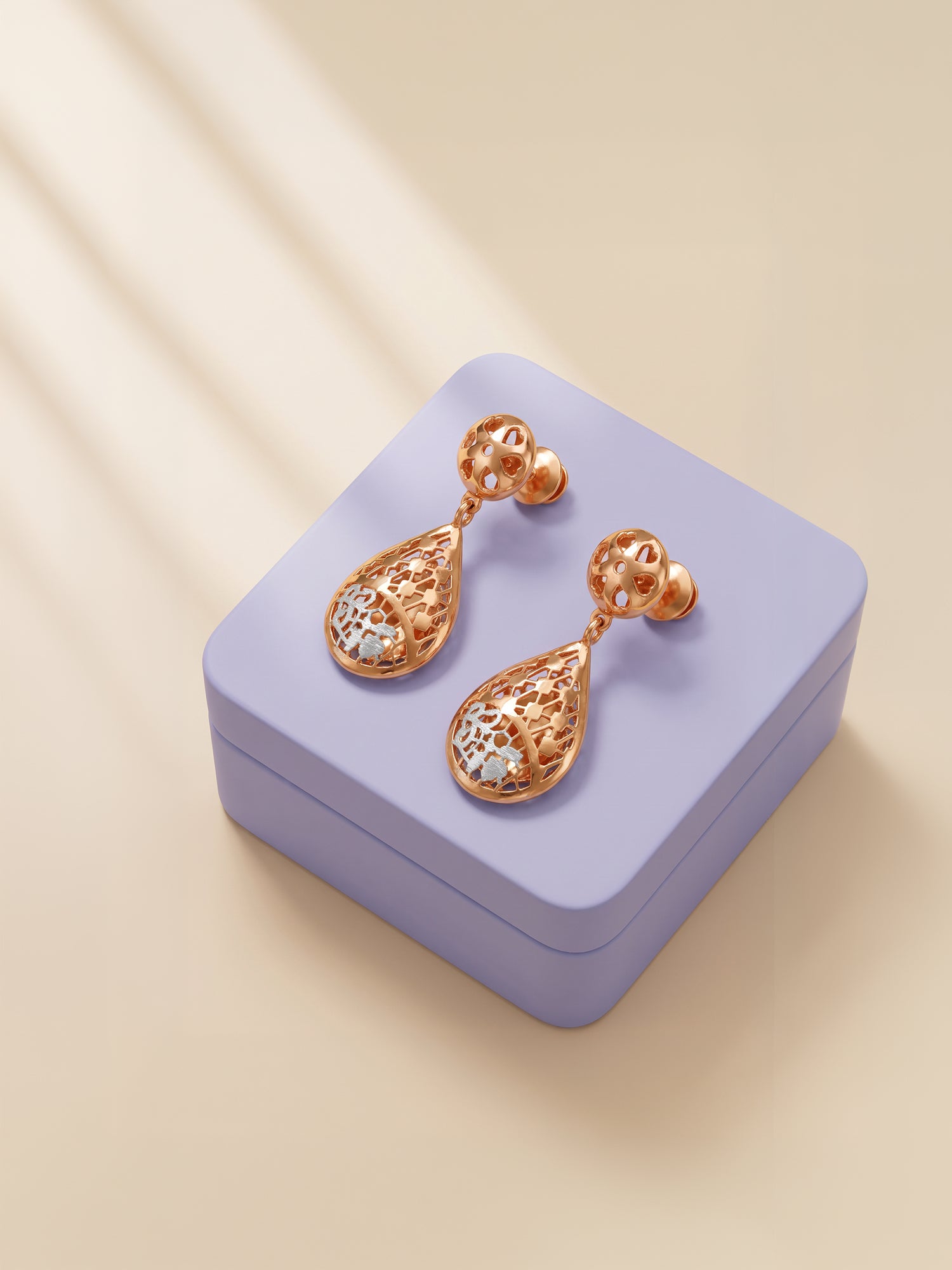 Dual Tone Romilly Silver Drop Earrings