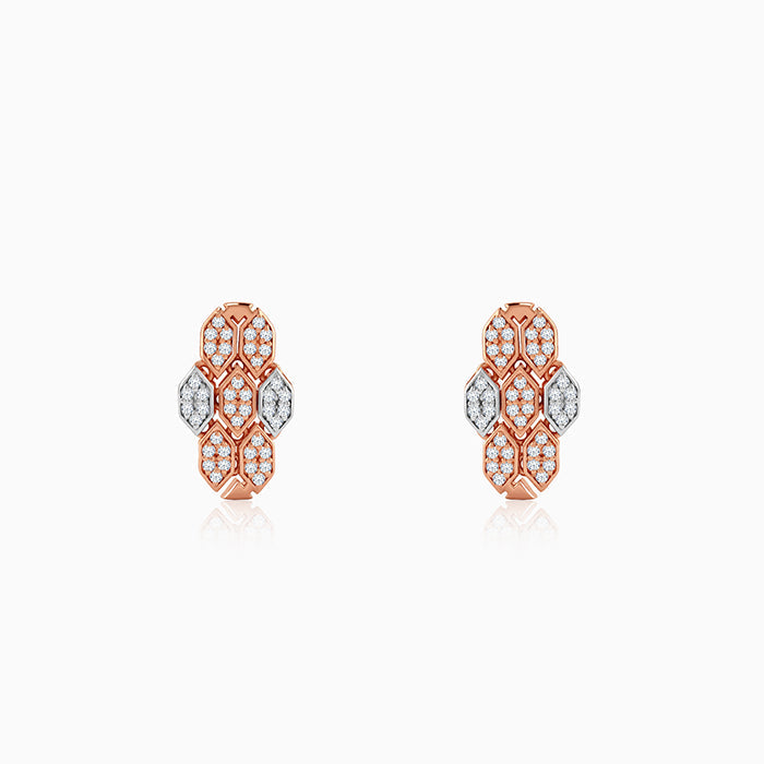 Dual Tone Petaline Shine Silver Earrings