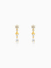 Golden Glinting Joy Zircon Earrings