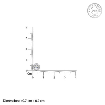 Silver Zircon Studded Elegant Stud Earrings