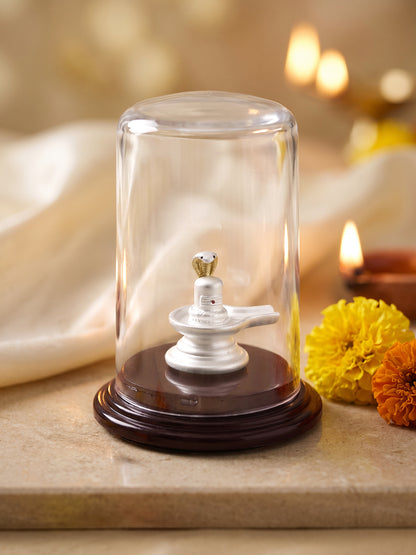 Silver Shivalingam Idol