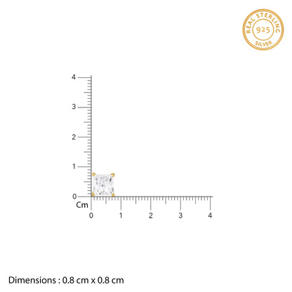 Golden Classy Zirconia Stud For Him