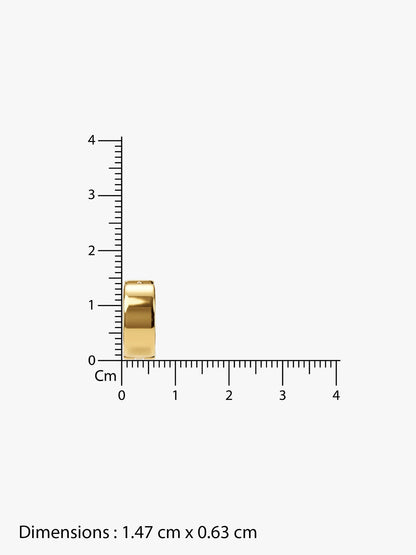 Edge Theory Gold Plated Earrings