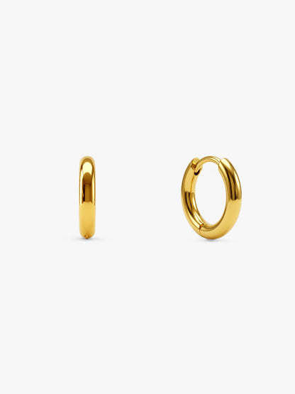 Street Loop Demi Fine Earrings Set