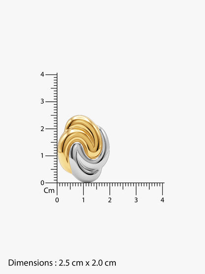 Twisted Intent Dual Tone Earrings