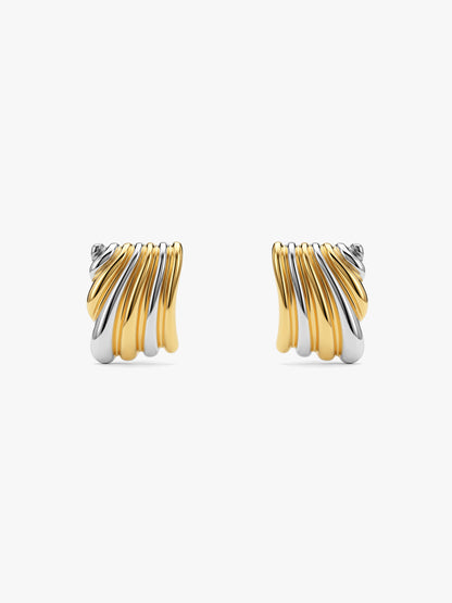 Metal Mood Dual Tone Earrings