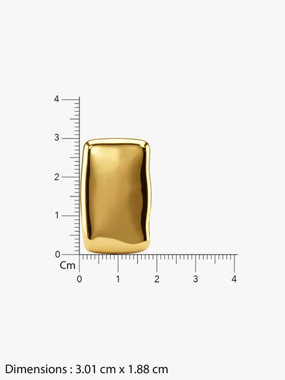 High Gloss Gold Plated Earrings
