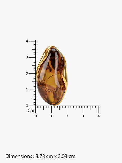 Amber Energy Gold Plated Earrings