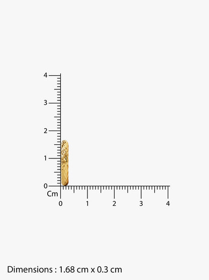 IXIA by GIVA Top Tier Gold Plated Hoop For Men