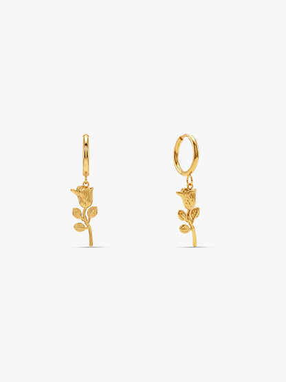 IXIA by GIVA Rosemarked Gold Plated Danglers