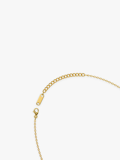 Charm Me Gold Plated Necklace
