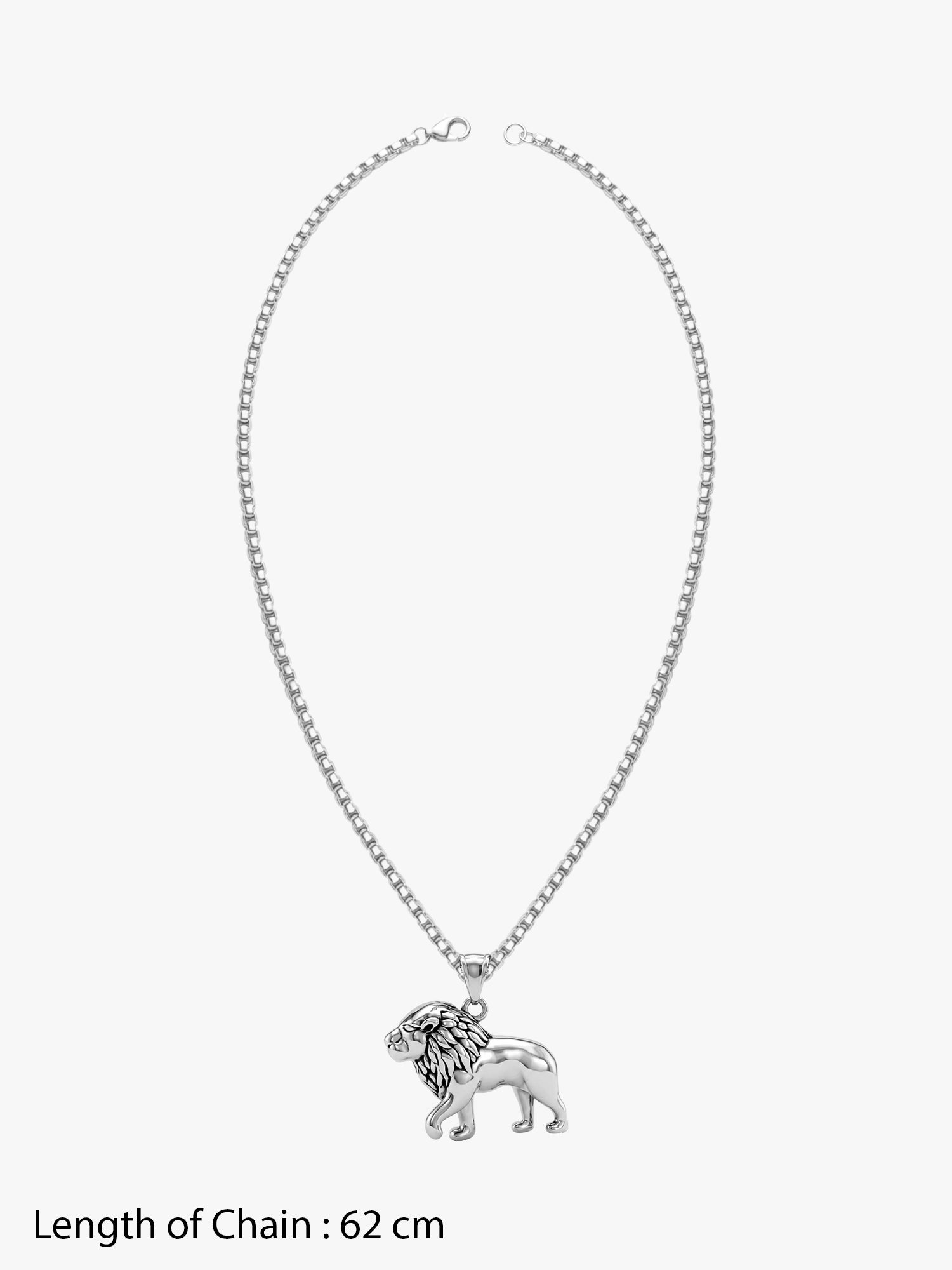 IXIA by GIVA Pride Rhodium Plated Pendant With Chain For Men