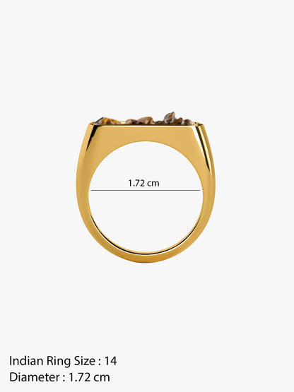 Noir Slay Gold Plated Ring (Size 14)