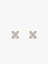 Golden Lian Ear Piercings