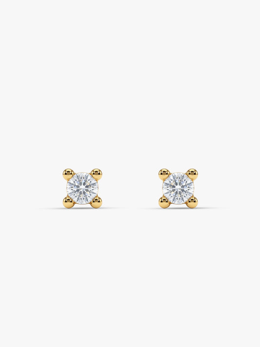 Golden Lian Ear Piercings