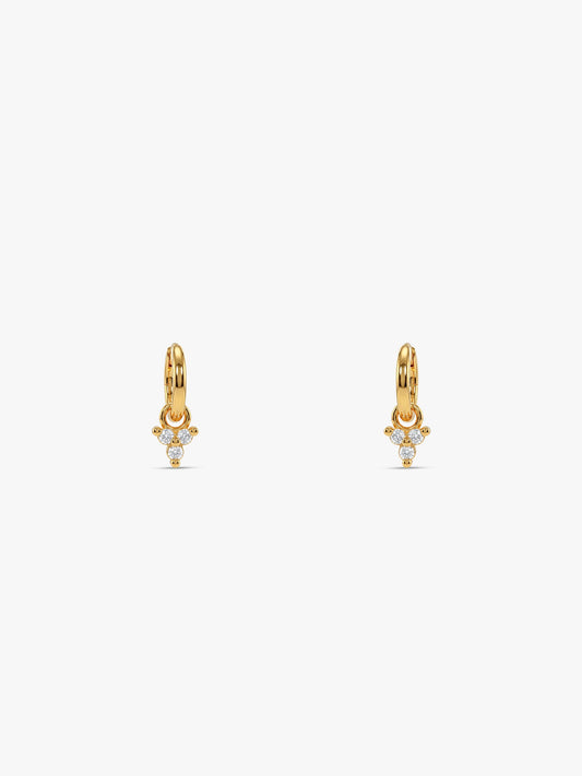 Golden Zivah Ear Piercings