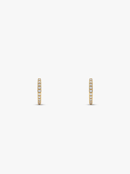 Golden Quinn Ear Piercings