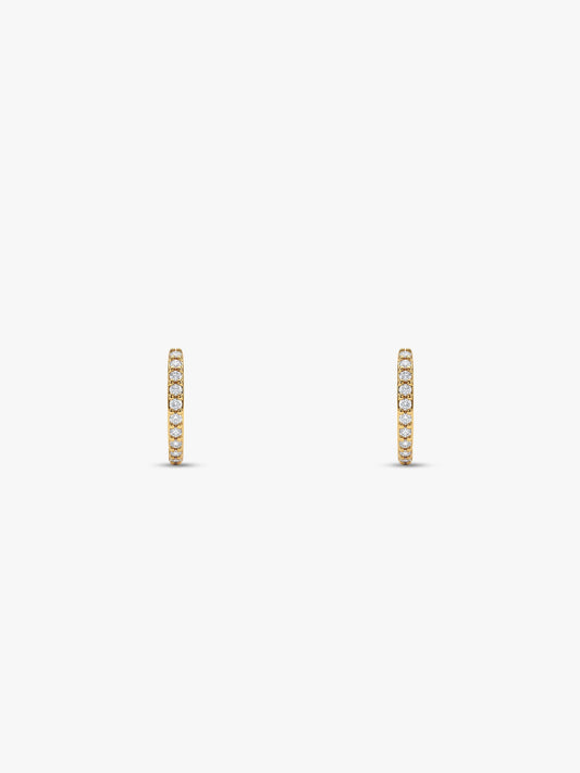 Golden Quinn Ear Piercings