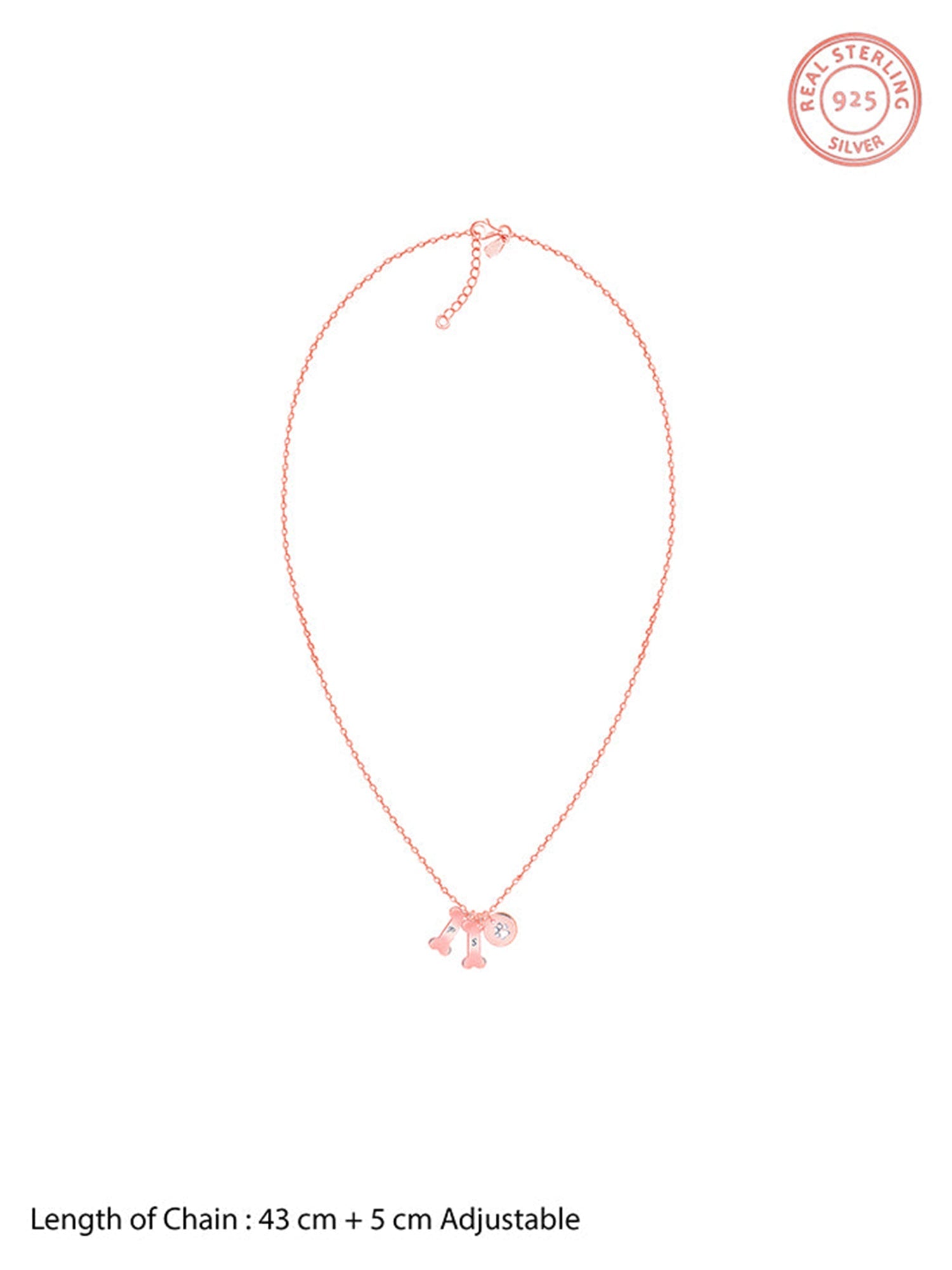 Rose Gold Personalised Pet Lover Necklace