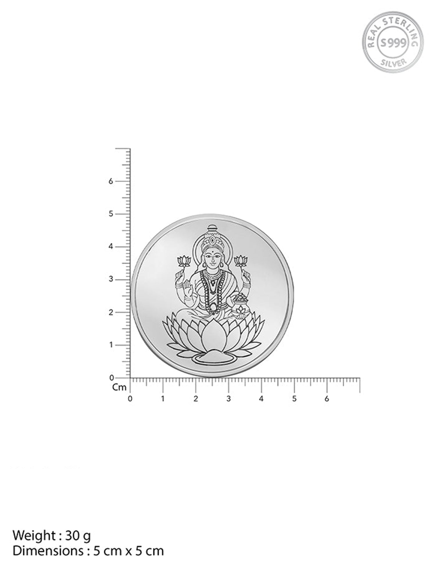 Silver Lakshmi Coin - (30g)