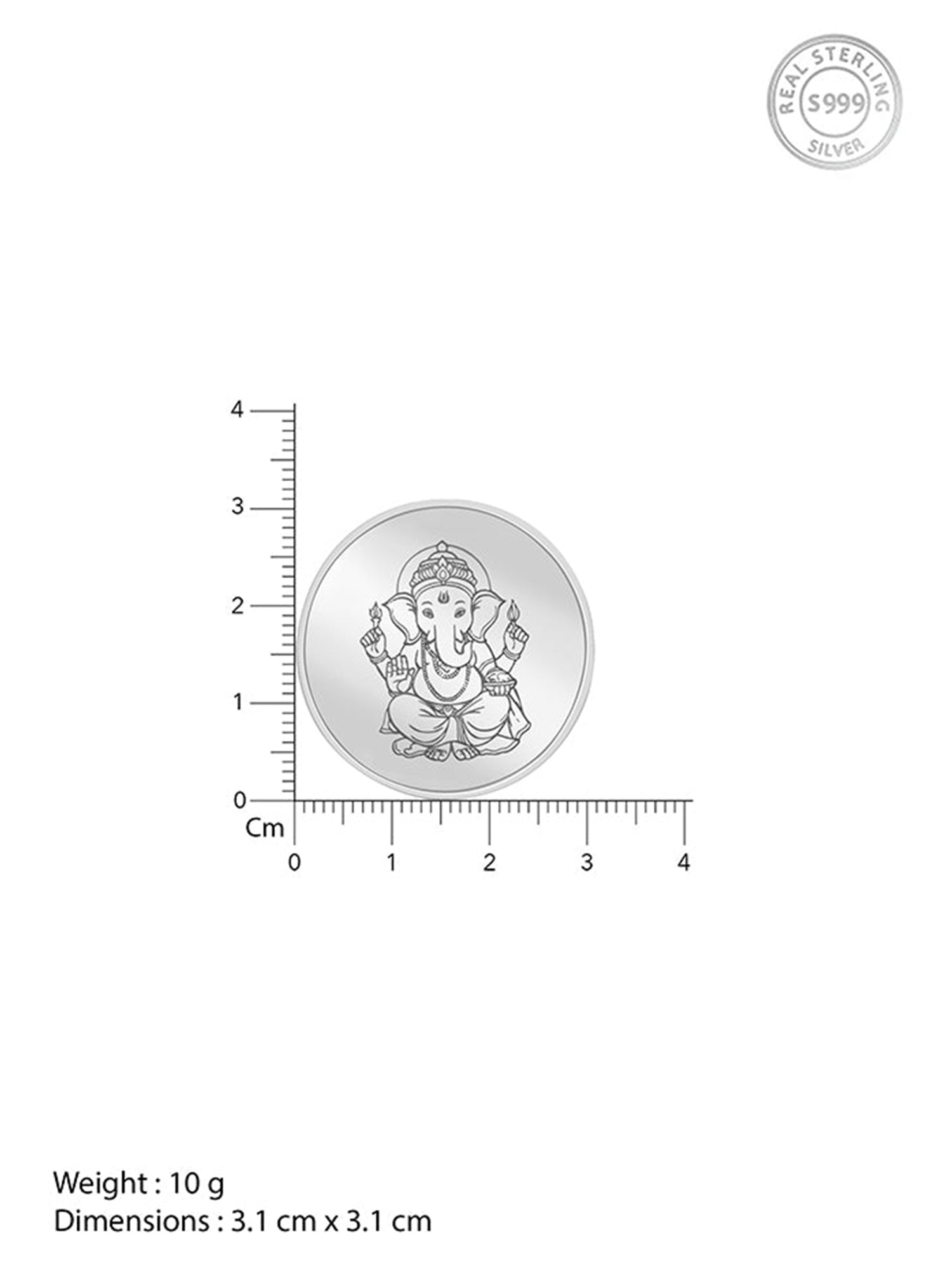 Silver Fortune Coin - (10g)