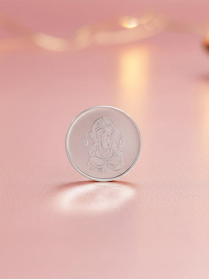 Silver Fortune Coin - (10g)