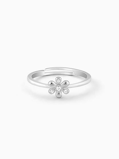 Silver Spring Garden Ring