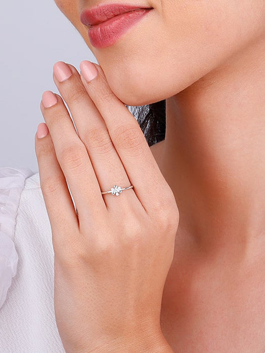 Silver Spring Garden Ring