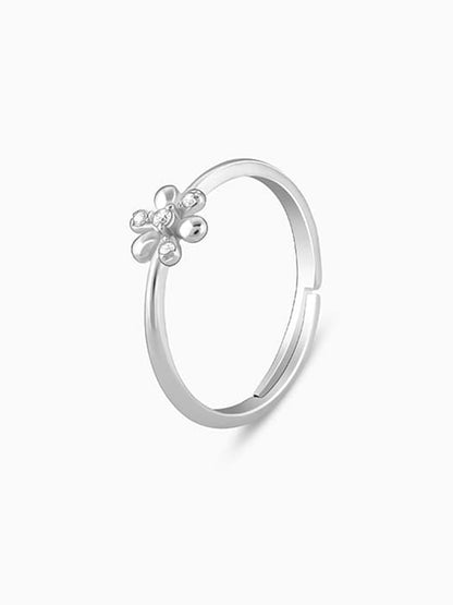 Silver Spring Garden Ring