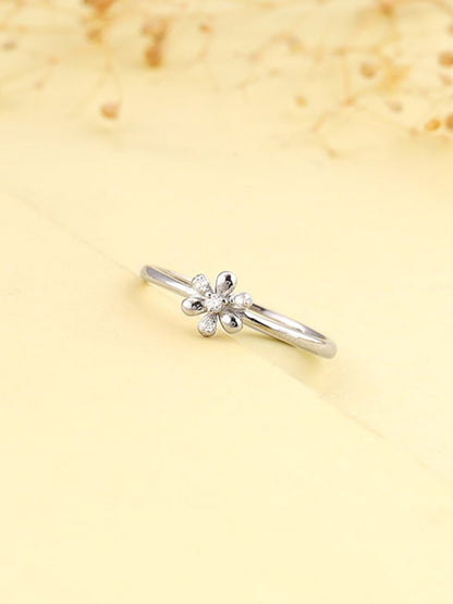 Silver Spring Garden Ring
