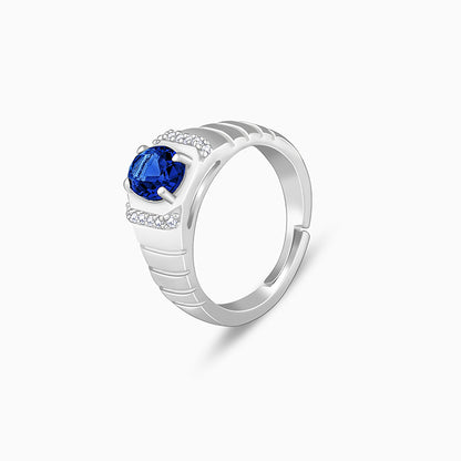 Silver Midnight Royalty Ring For Him