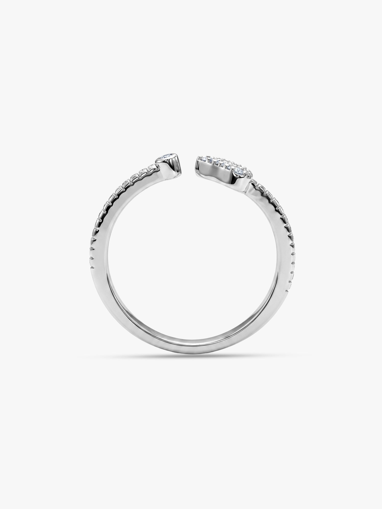 Silver Lifelong Ring