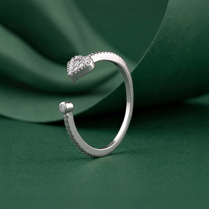 Silver Lifelong Ring