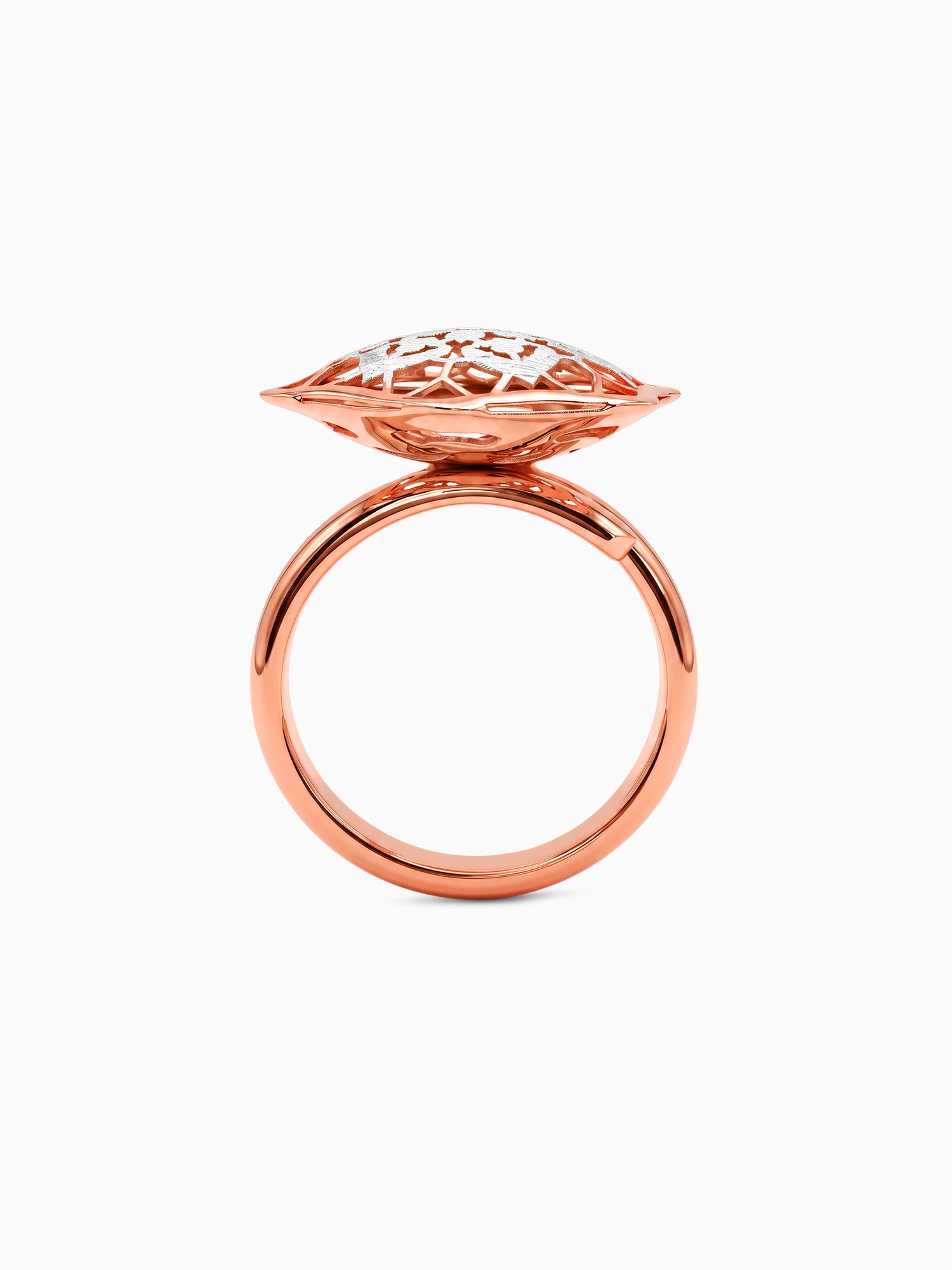 Dual Tone Twin Tone Silver Ring (Size 12)