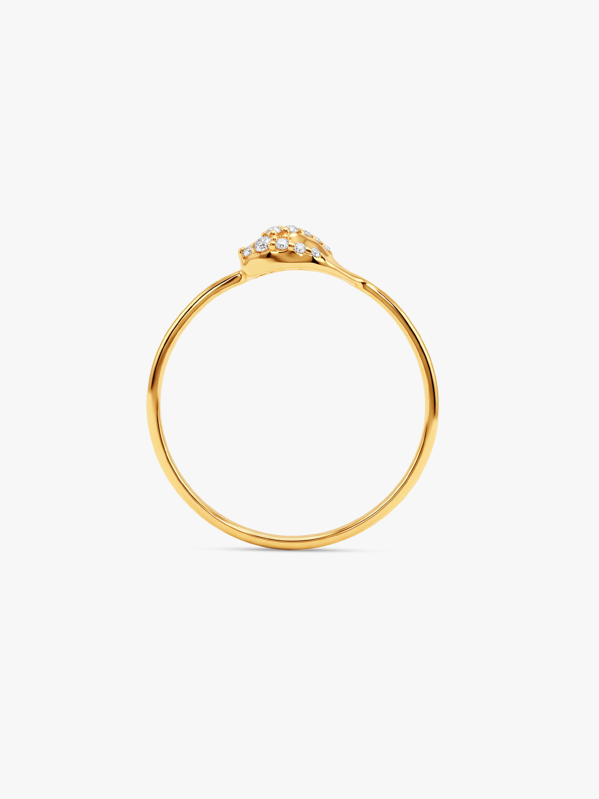 Golden Zivisha Ring (Size 12)