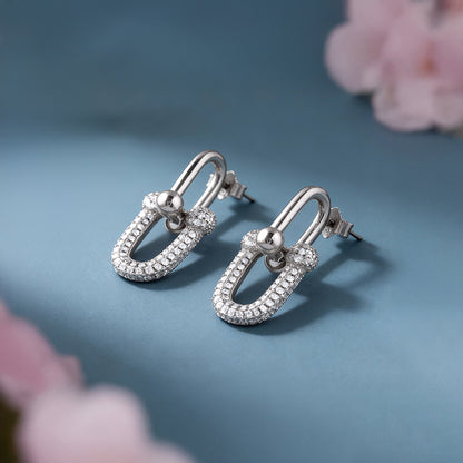 Silver Graduated Link Earrings