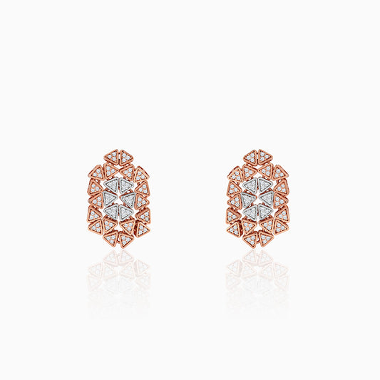 Dual Tone Aurora Angle Silver Earrings