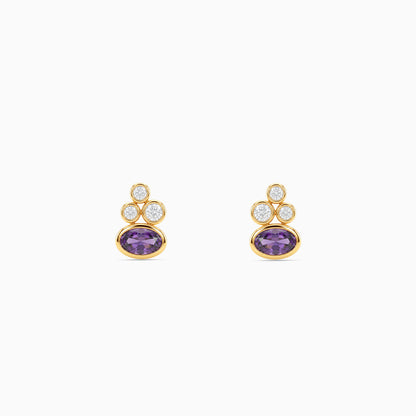 Golden Daily Armour Stud Earrings