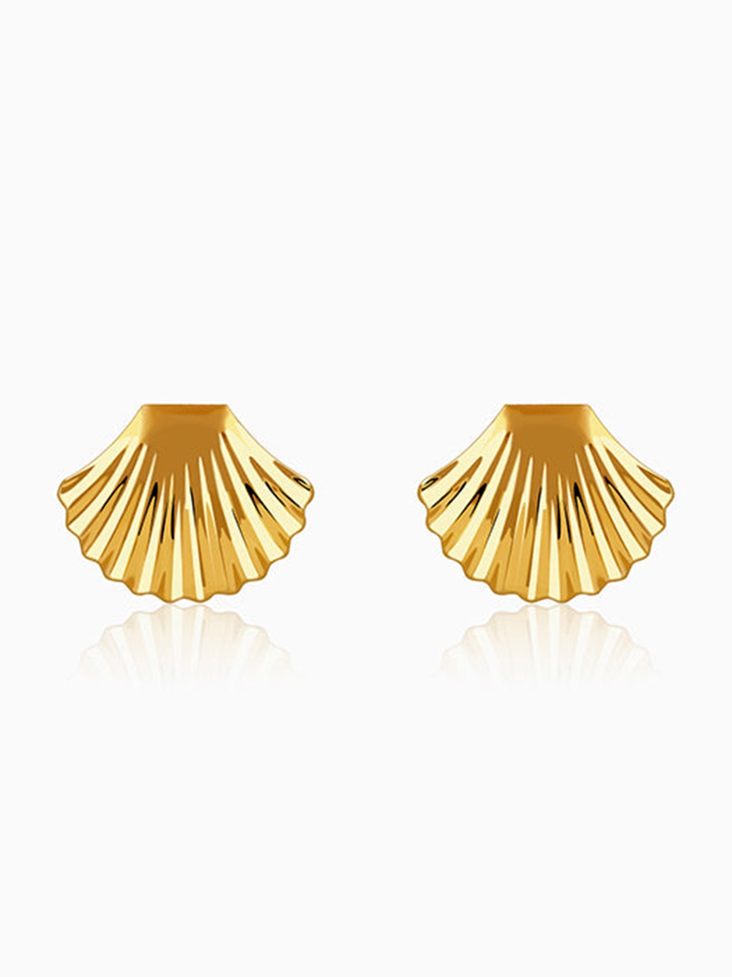 Golden Classic Shell Earrings