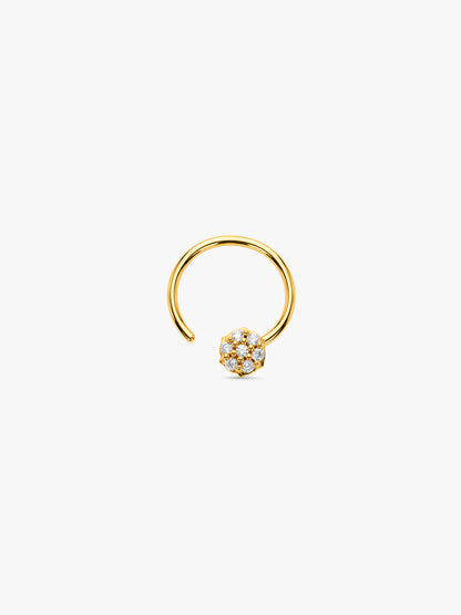 Golden Celine Shine Nose Pin