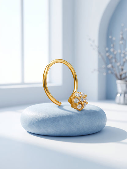 Golden Celine Shine Nose Pin