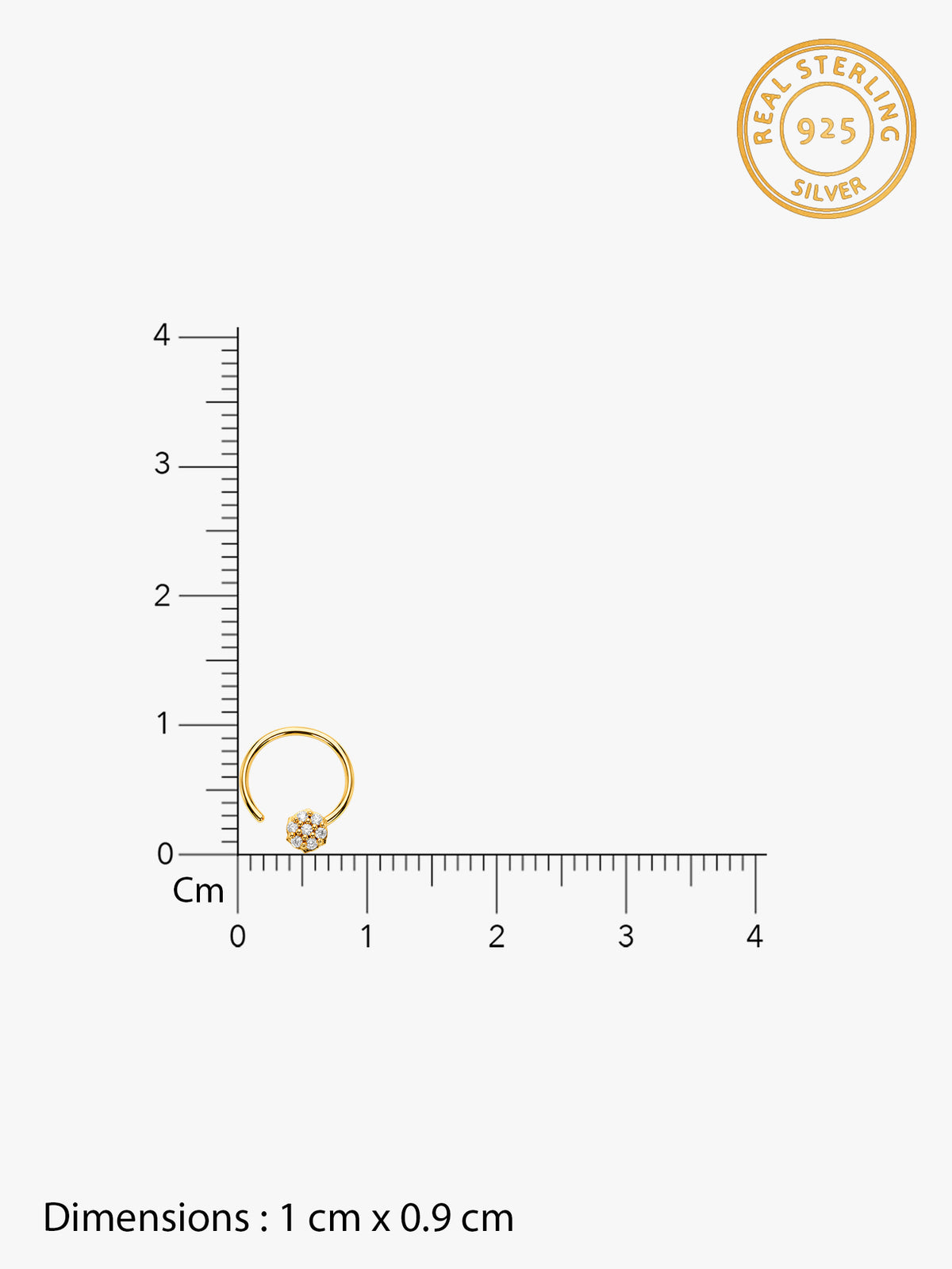 Golden Celine Shine Nose Pin