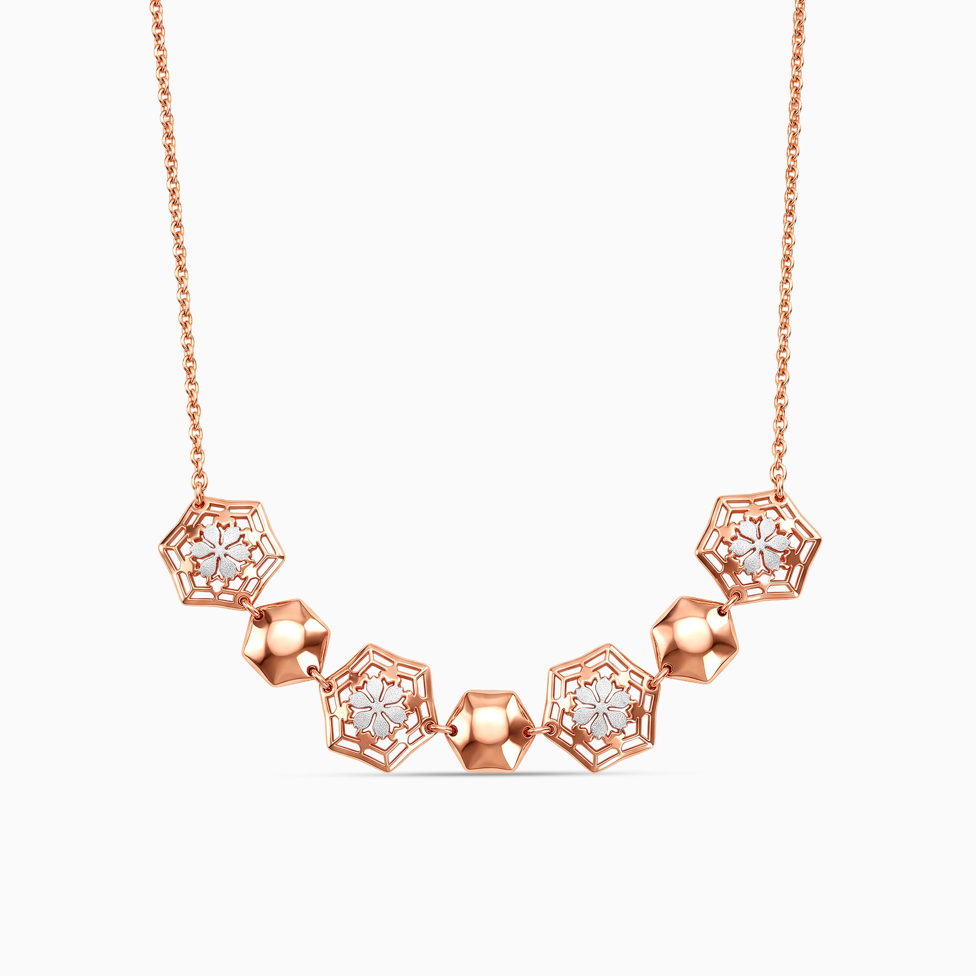 Dual Tone Dione Silver Necklace