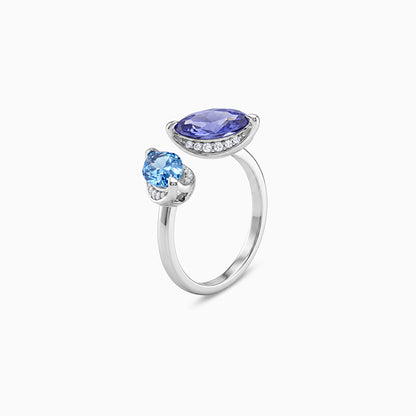 Silver Isis & Nephthys Bypass Ring (Size 12)