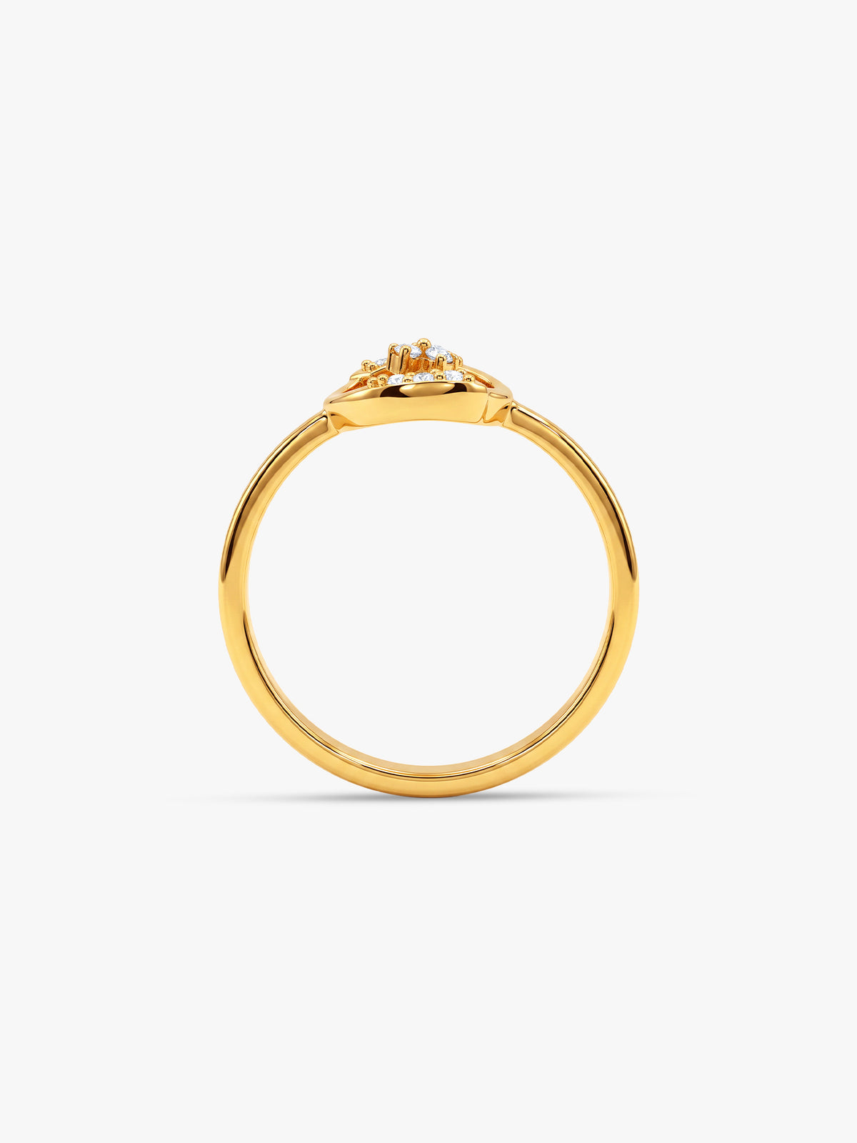 Golden Medallion Ring (Size 11)