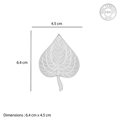 Silver Betel Leaf